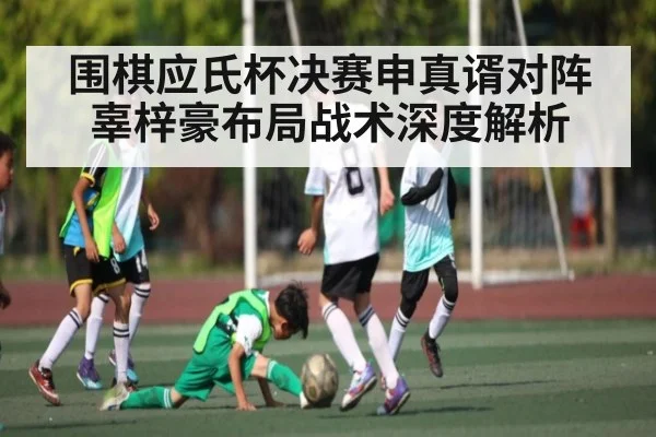 围棋应氏杯决赛申真谞对阵辜梓豪布局战术深度解析 | kaiyun