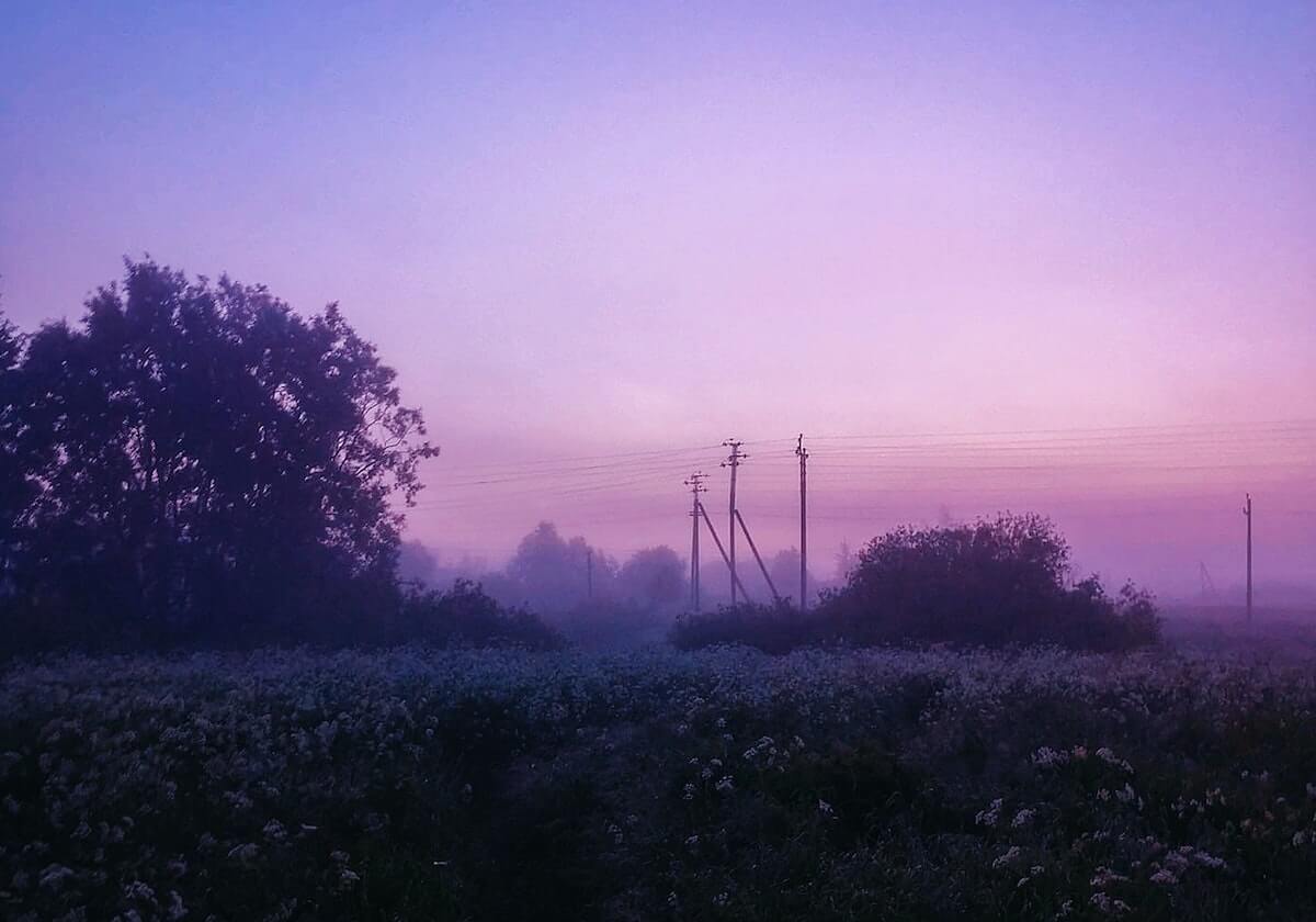 开云-猛龙3年没进季后赛，最后7天突然慌了